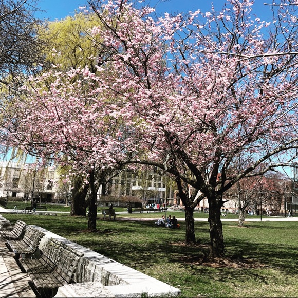 Meet your Posher, KW - Picture 1 of 1